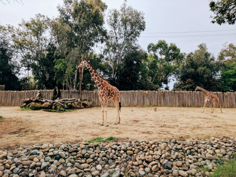 Processed with VSCO with e1 preset