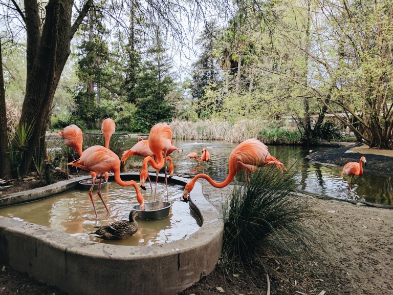 Processed with VSCO with a6 preset